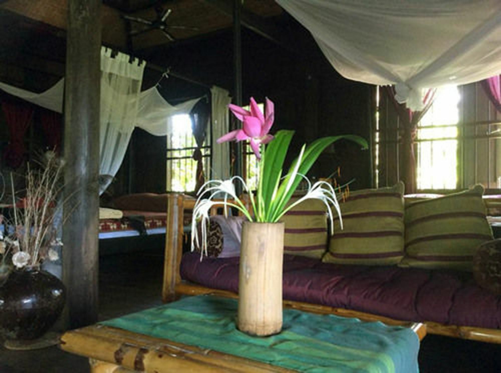 The Bong Thom Homestay Siem Reap Exterior photo
